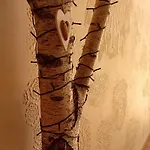 샬레 La Du Gardien *